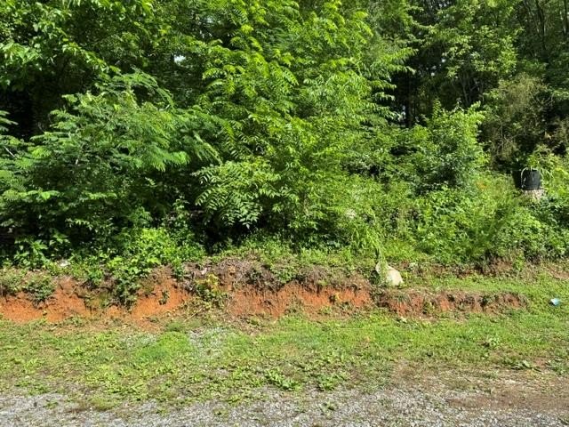 Other - 92 Benji Drive lot: A, Ellijay, GA