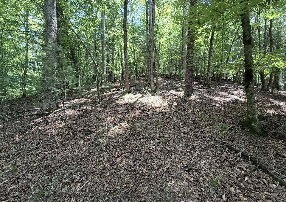 Other - Magnet Court lot: 2607, Ellijay, GA