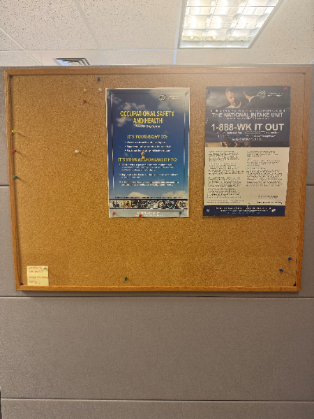 Cork Board