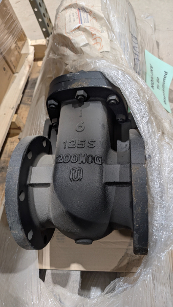 6" Flanged iron gate valve 1225WP OS&Y with Gaskets