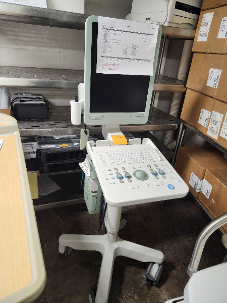 Ultrasonic Diagnostic Flex Focus 300