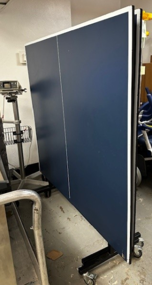 Joola Ping Pong Table